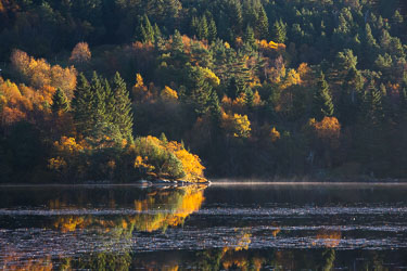 Naturens farger