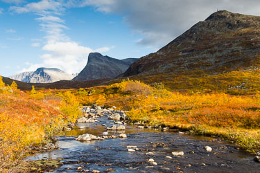 Naturens farger