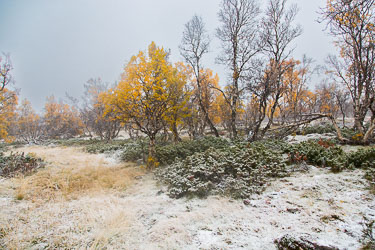 Naturens farger Naturens farger