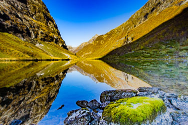 Naturens farger