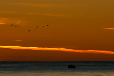 Ut mot havet