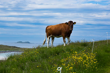 Ut mot havet Ut mot havet
