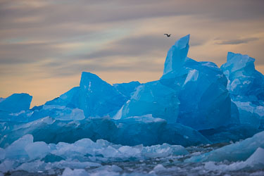 Isbreer - Noen opplevelser fra de mange isbreer på Svalbard